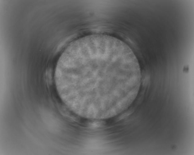 X0000112890670200909181913