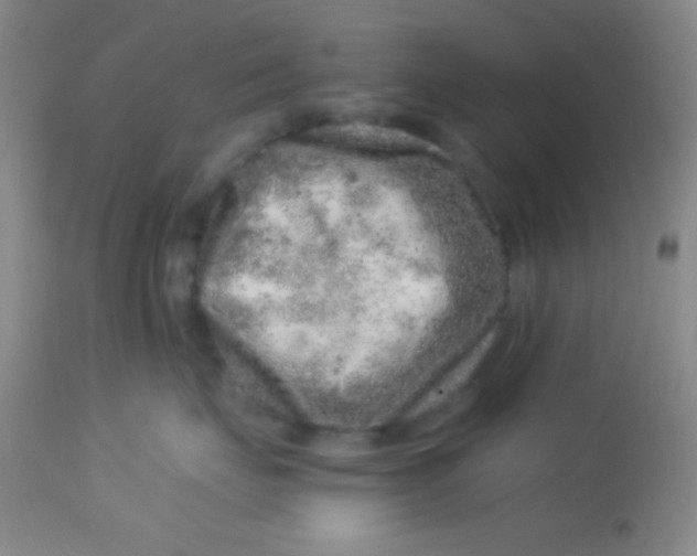 X0000112890671200909181913
