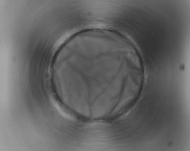 X0000112890674200909181913