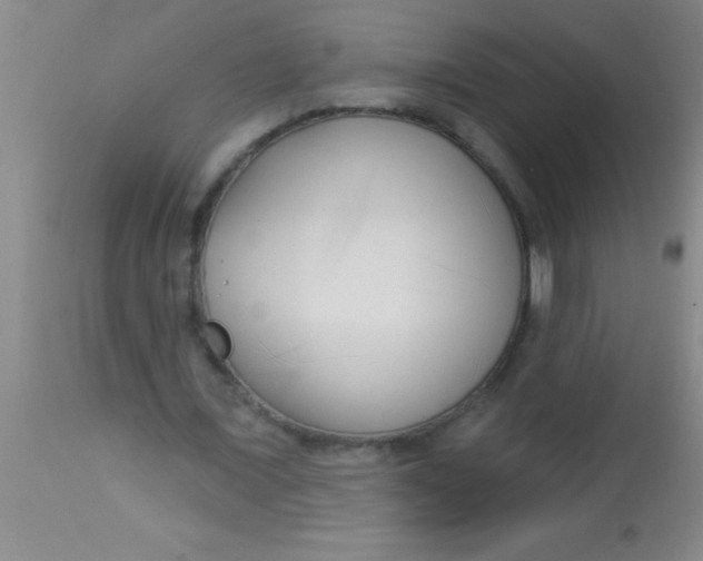 X0000112890675200909181913