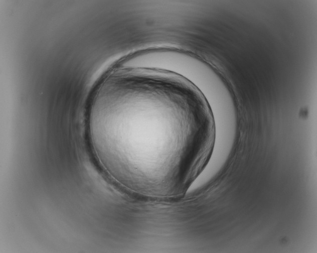 X0000112890676200909181913