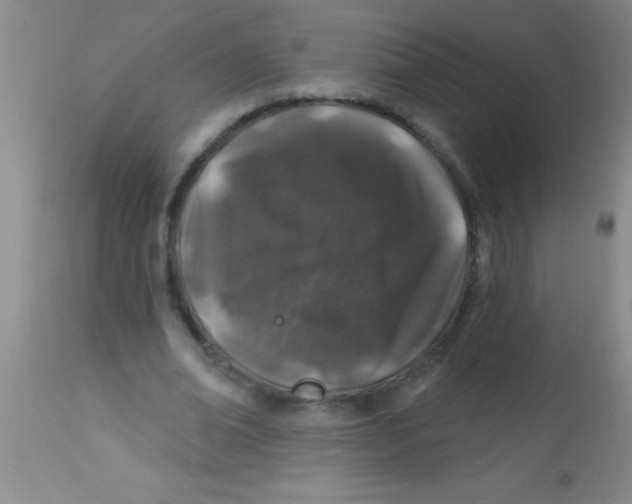 X0000112890678200909181913