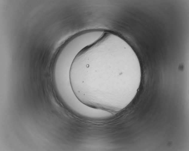 X0000112890680200909181913