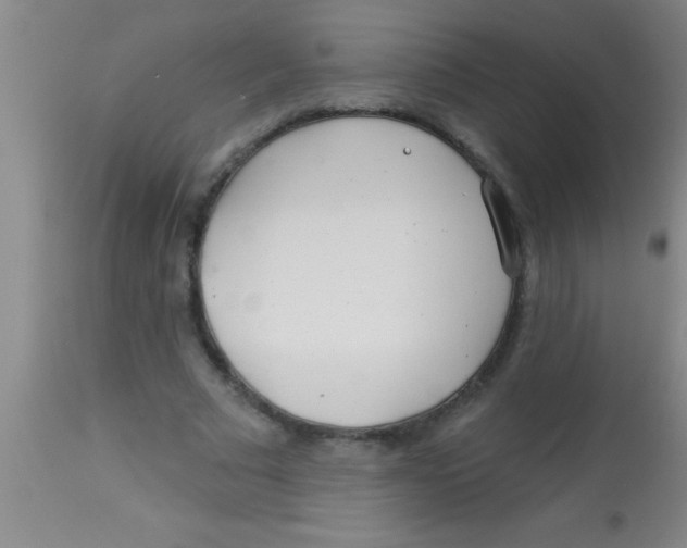 X0000112890681200909181913