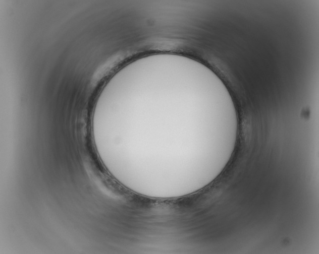 X0000112890682200909181912