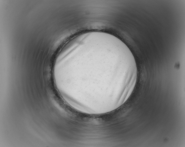 X0000112890683200909181912
