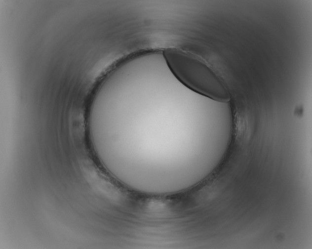 X0000112890684200909181912