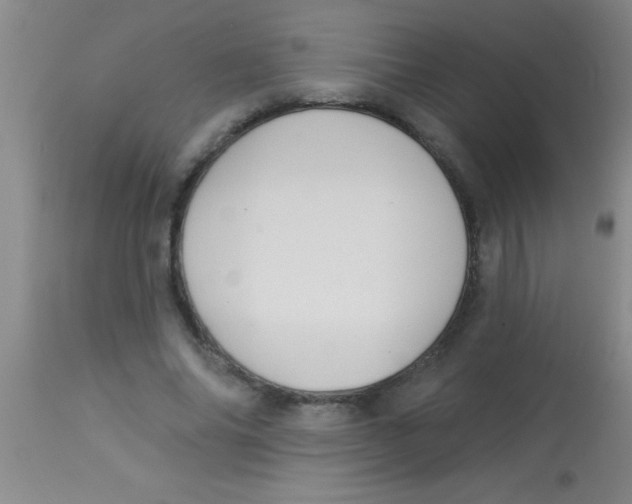 X0000112890686200909181912