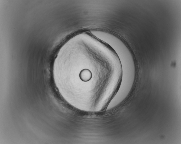 X0000112890688200909181912