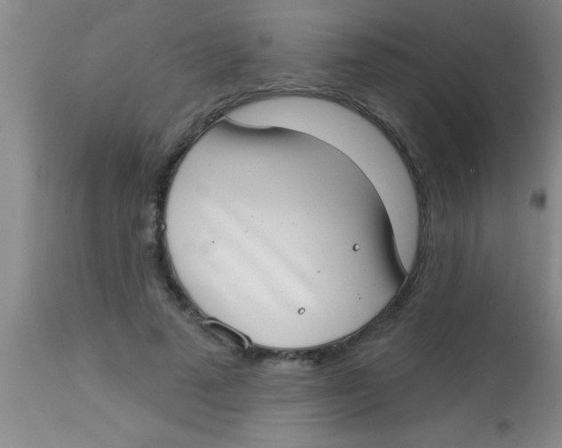 X0000112890689200909181912