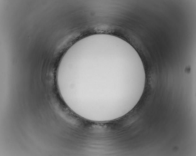 X0000112890690200909181912