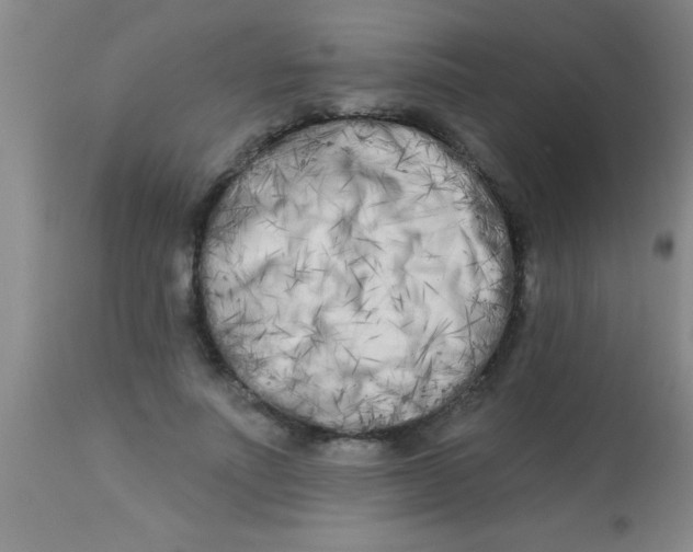 X0000112890691200909181912