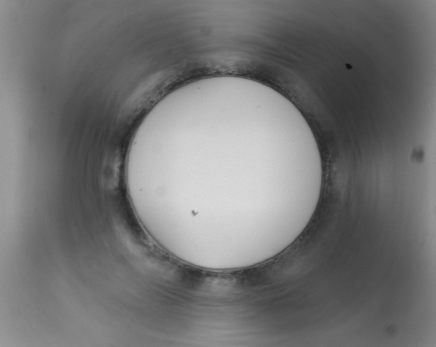 X0000112890694200909181912