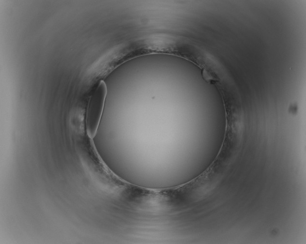 X0000112890696200909181912