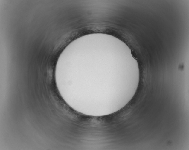 X0000112890697200909181912