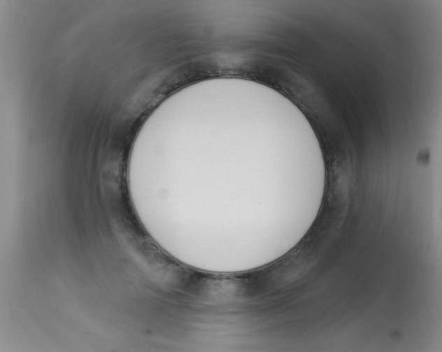 X0000112890698200909181912