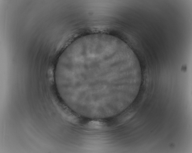 X0000112890699200909181912