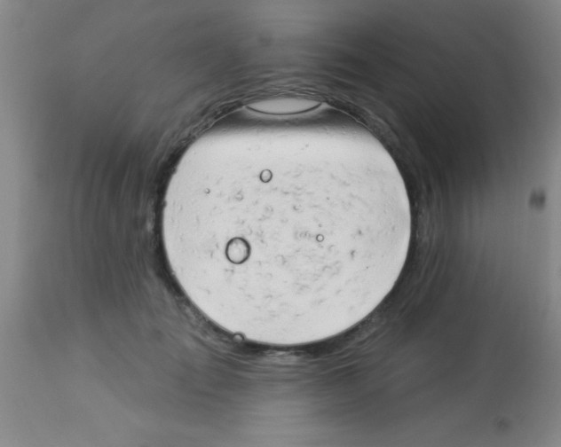 X0000112890701200909181912