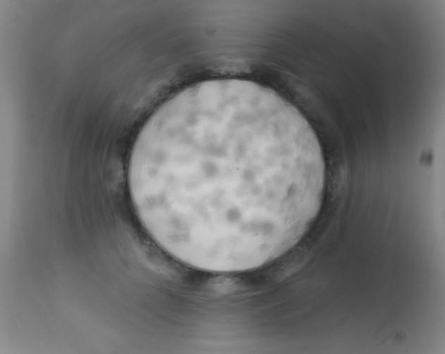 X0000112890704200909181912