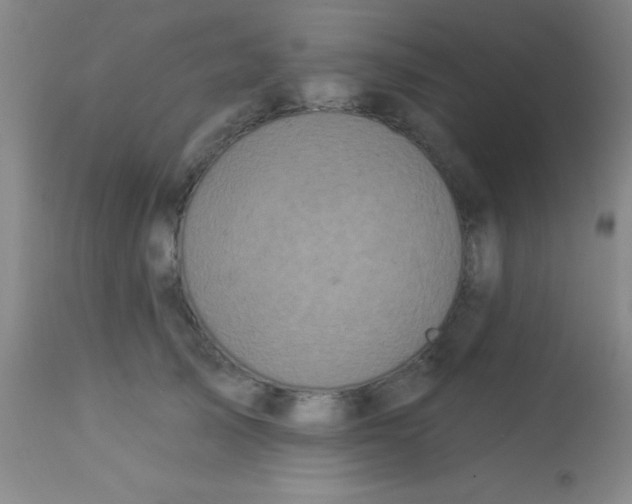 X0000112890705200909181912