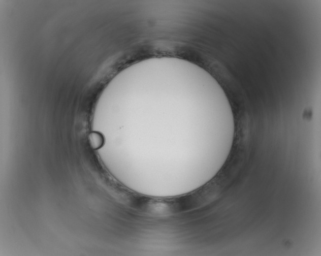 X0000112890706200909181912