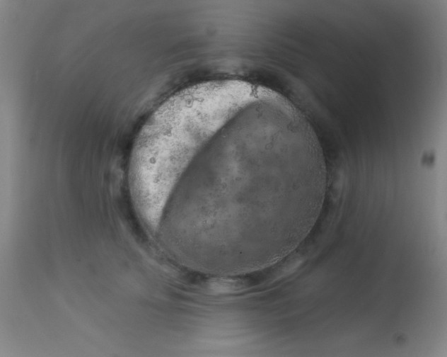 X0000112890707200909181912