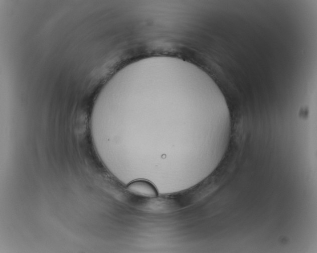 X0000112890708200909181912