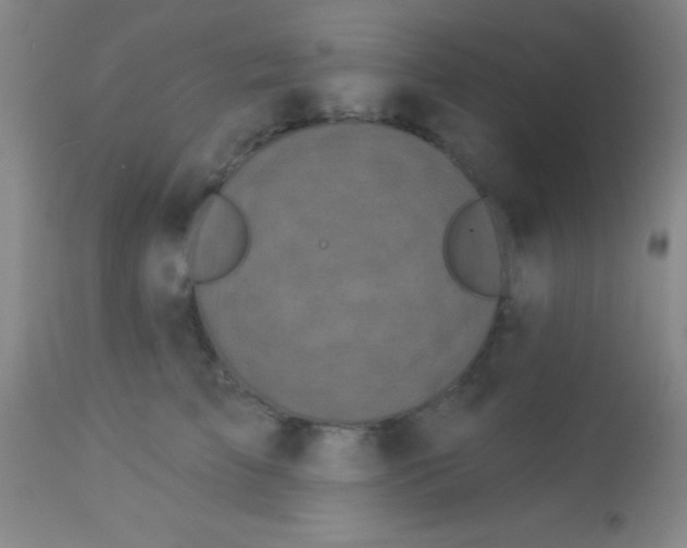 X0000112890709200909181912