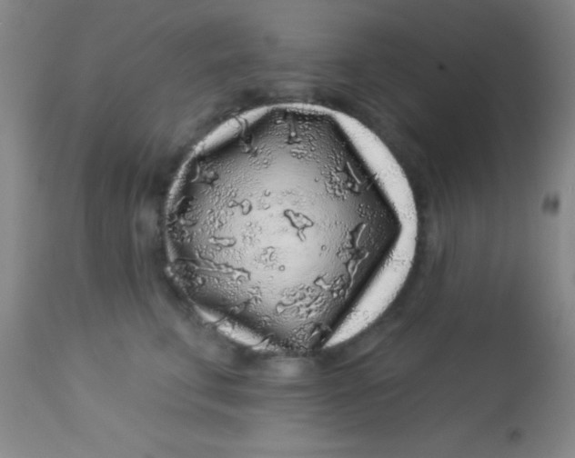 X0000112890711200909181912