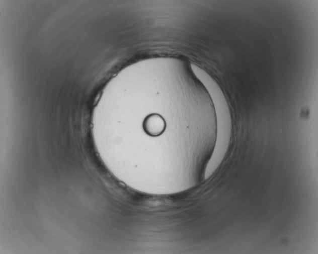 X0000112890712200909181912