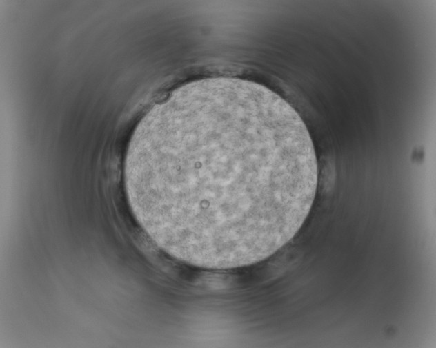 X0000112890713200909181912