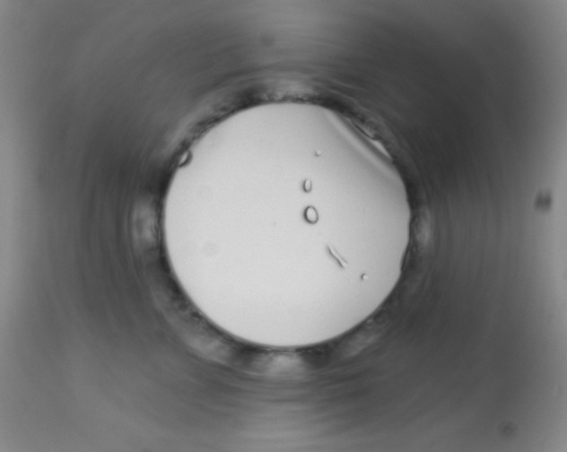 X0000112890715200909181912