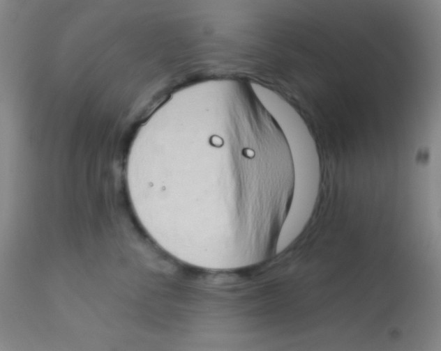 X0000112890716200909181912