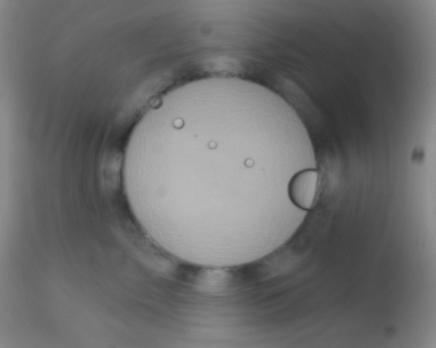 X0000112890717200909181912
