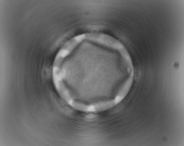 X0000112890718200909181912