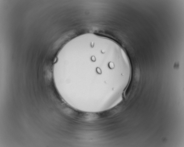 X0000112890719200909181912