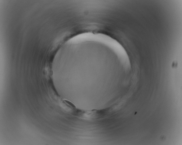 X0000112890720200909181912