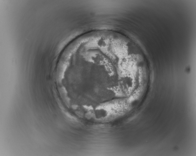 X0000112890721200909181911