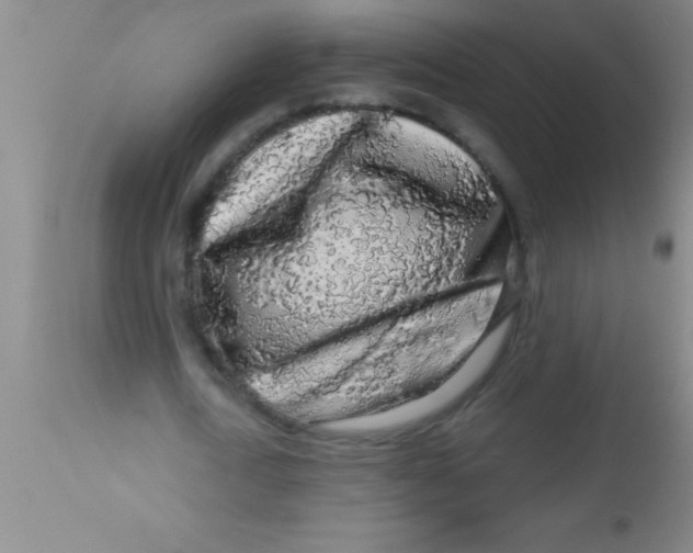 X0000112890722200909181911