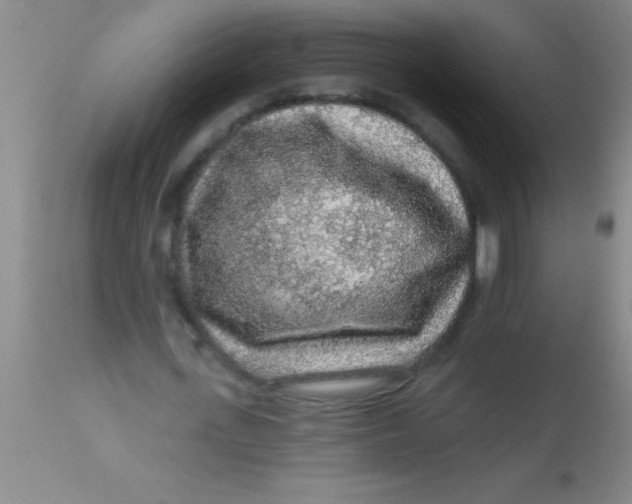 X0000112890723200909181911