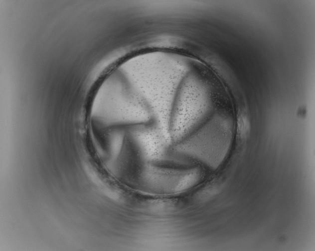 X0000112890724200909181911