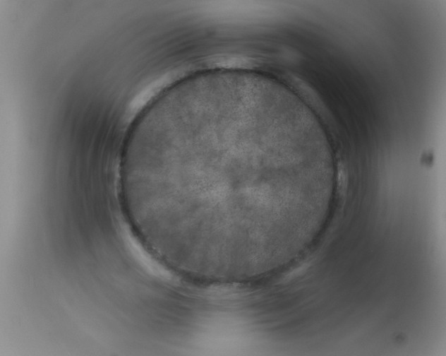 X0000112890725200909181911