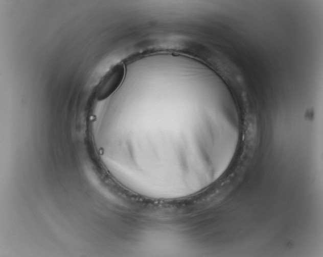 X0000112890726200909181911