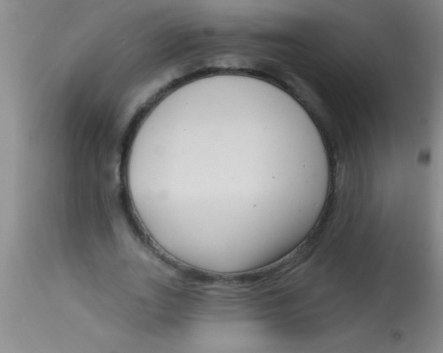 X0000112890727200909181911