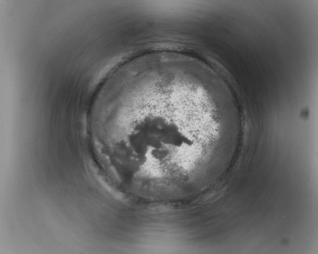 X0000112890729200909181911