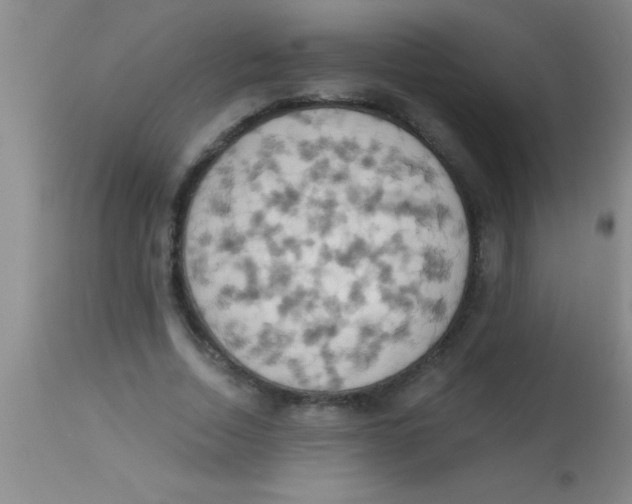 X0000112890730200909181911