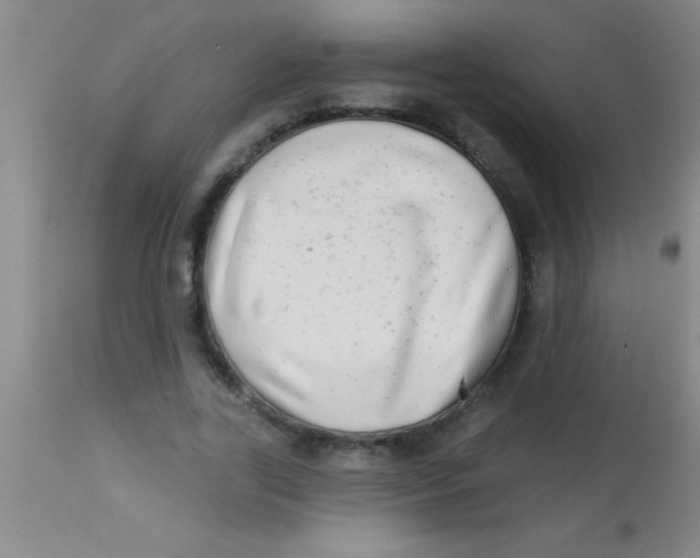 X0000112890731200909181911