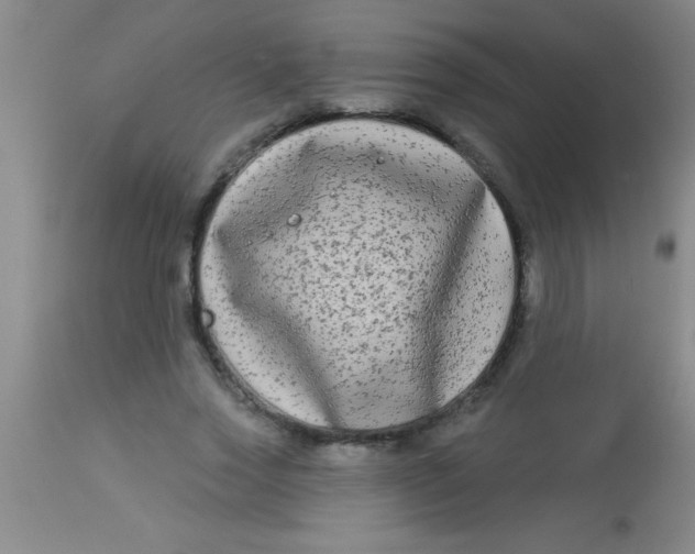 X0000112890733200909181911