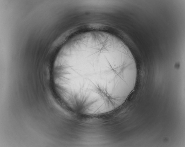 X0000112890734200909181911