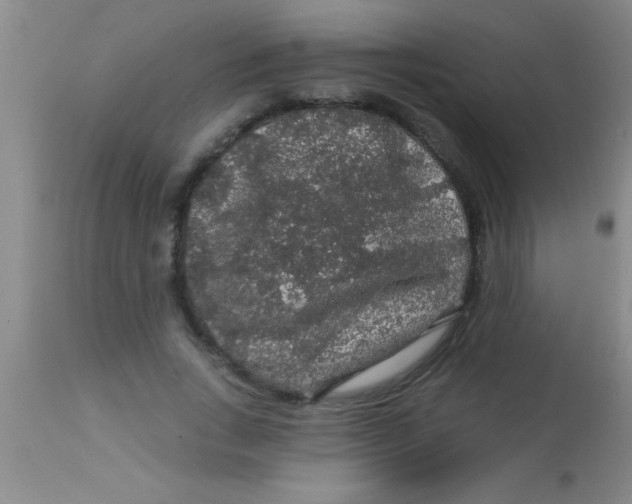 X0000112890735200909181912